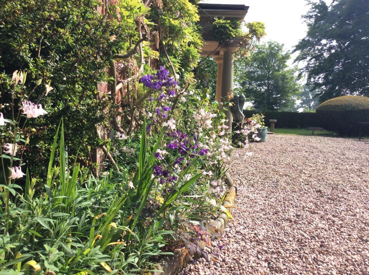 Mid Wales Arts B&B Caersws Eksteriør billede